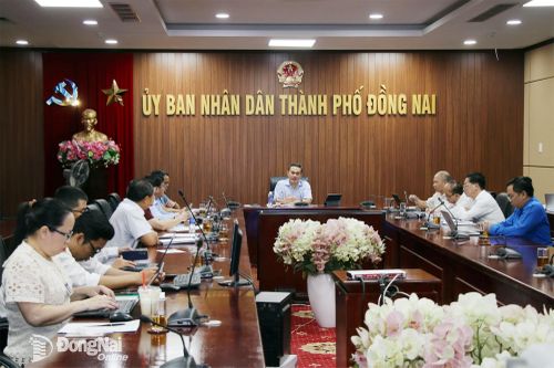 Rà soát công tác chuẩn bị tổ chức chương trình DIGIFEST Đồng Nai 2026
