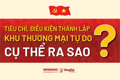 [Infographic] Tiêu chí, điều kiện thành lập khu thương mại tự do cụ thể ra sao?