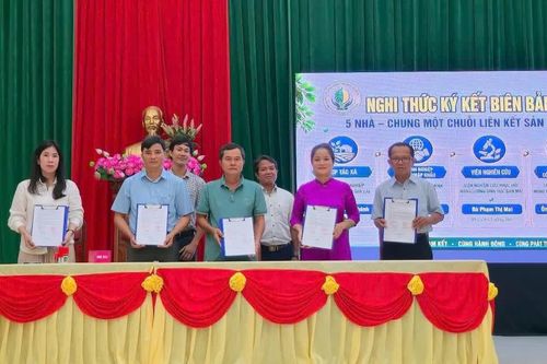 Đức Cơ xây dựng chuỗi liên kết sản xuất, tiêu thụ sầu riêng