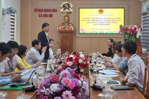 Xem xét chấm dứt hoạt động Dự án Trung tâm giết mổ gia súc, gia cầm San Hà Bình Định