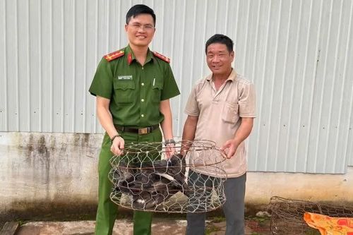 Thấy đại bàng núi bay vào nhà, người đàn ông mang đến Công an xã giao nộp