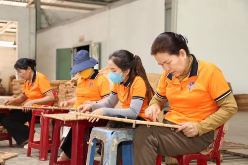 Khánh Hòa triển khai Chương trình phát triển kinh tế tập thể giai đoạn 2026 - 2030