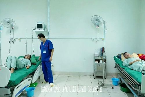 Cảnh báo ngộ độc từ nấm rừng
