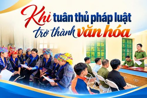 Khi tuân thủ pháp luật trở thành văn hóa