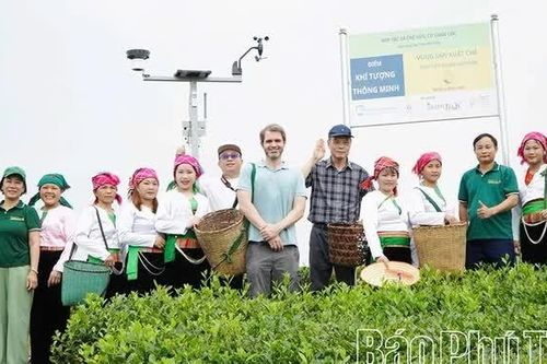 Sản xuất xanh để phát triển bền vững
