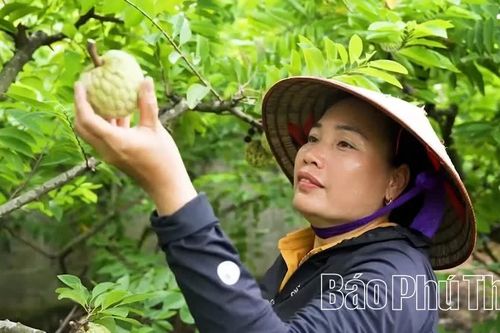 Đổi thay ở Đại Đình