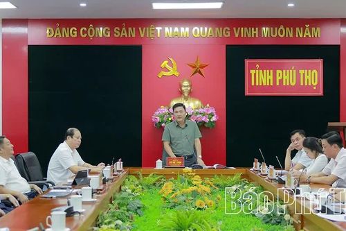 Tập trung hoàn thiện đồ án Quy hoạch phân khu Khu công nghiệp Tam Dương II - khu B