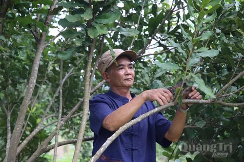 Thay đổi tư duy phát triển kinh tế vùng biên
