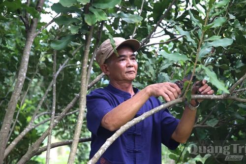 Thay đổi tư duy phát triển kinh tế vùng biên