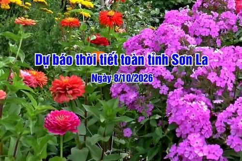 Dự báo thời tiết toàn tỉnh Sơn La ngày 08/10/2026