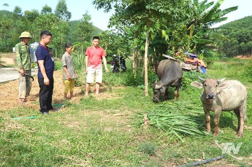 Tạo sinh kế bền vững cho hộ nghèo