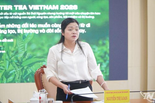 Thái Nguyên khẩn trương hoàn tất công tác chuẩn bị Festival Trà Quốc tế