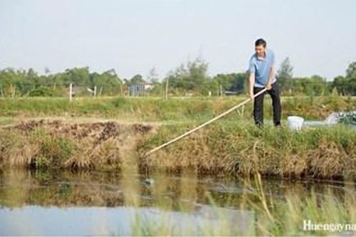 Đầu tư đồng bộ hạ tầng cho vùng nuôi trồng thủy sản