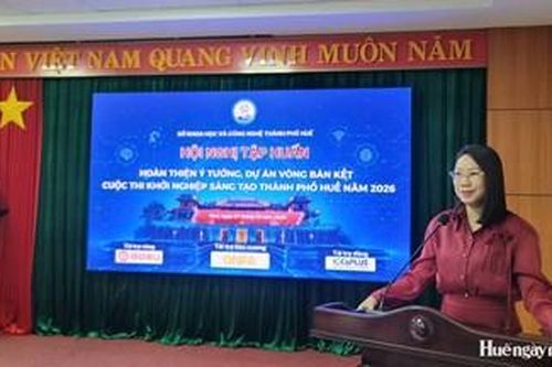 Tập huấn hoàn thiện ý tưởng, dự án thi vòng Bán kết Cuộc thi Khởi nghiệp sáng tạo thành phố Huế