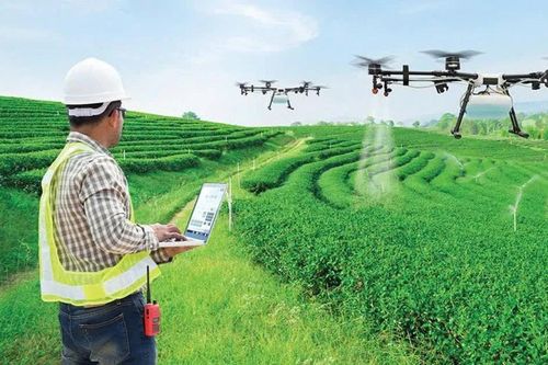 Dữ liệu sạch - 'tấm hộ chiếu' mở rộng thị trường cho hợp tác xã