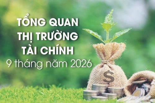 Infographics: Tổng quan thị trường tài chính 9 tháng năm 2026