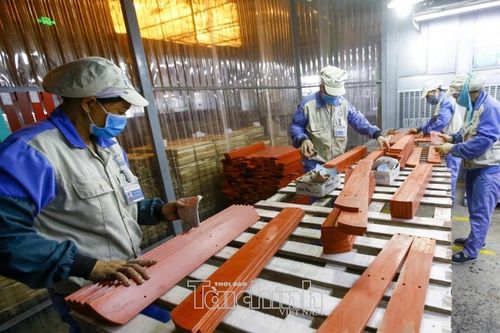 Luật Phát triển doanh nghiệp nhỏ và vừa: Hỗ trợ đúng những gì doanh nghiệp cần