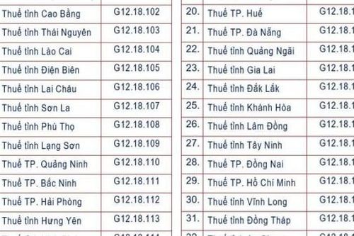 34 thuế tỉnh, thành phố và 350 thuế cơ sở áp dụng mã định danh điện tử mới