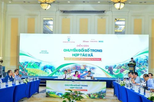 Gỡ điểm nghẽn, tạo đột phá về chuyển đổi số trong HTX