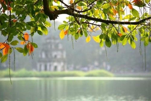 Thời tiết miền Bắc những ngày tới: Ngày nắng, đêm và sáng sớm trời lạnh