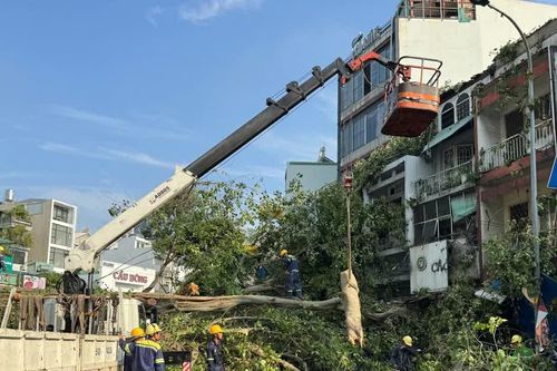Cây cổ thụ bật gốc, nhiều tuyến đường trung tâm TP Hồ Chí Minh ùn ứ
