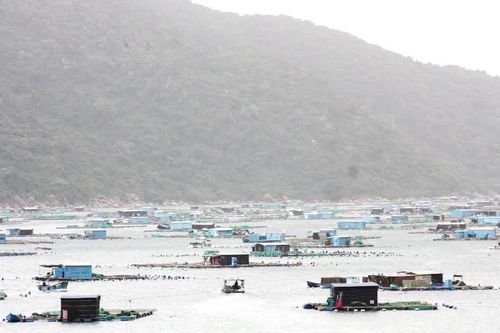 Sau 1 năm, nhiều người vẫn chưa được hỗ trợ thiệt hại bão lũ ở Đắk Lắk