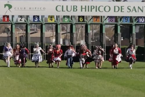 Chile: Khi những cô gái hóa thân thành 'ngựa đua'