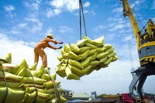 Đẩy mạnh xây dựng thương hiệu gạo Việt Nam