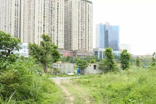 Đề xuất đánh thuế đất bỏ hoang gấp 7 lần đất trong hạn mức