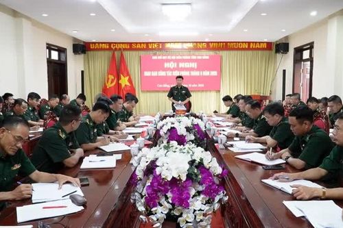Bộ đội Biên phòng tỉnh phát hiện, xử lý 20 vụ, 220 đối tượng vi phạm pháp luật