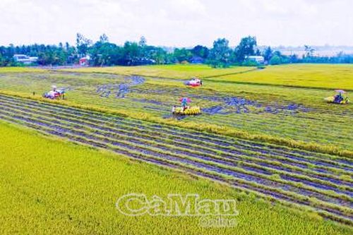 Đẩy mạnh ứng dụng tiến bộ kỹ thuật trong nông nghiệp