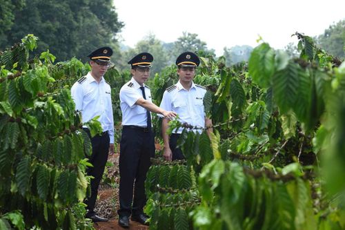 Đảng ủy Kiểm toán nhà nước triển khai phong trào 'Dân vận khéo' giai đoạn 2026-2030