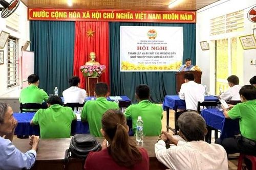 Tp. Huế: Hội nông dân Phú Bài đổi mới hoạt động Hội từ Chi hội nghề nghiệp nuôi gà