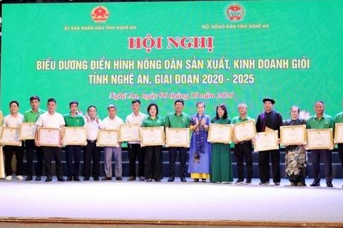 Nghệ An biểu dương 130 điển hình nông dân sản xuất, kinh doanh giỏi giai đoạn 2020-2025