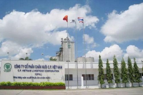 Đồng Nai thu hồi hơn 10 ha đất hết thời hạn sử dụng của Công ty C.P Việt Nam
