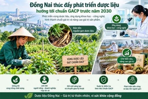 Đồng Nai thúc đẩy phát triển dược liệu, hướng tới chuẩn GACP trước năm 2030