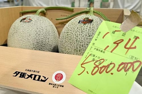 Dưa lưới gần 1 tỷ đồng/cặp có gì đặc biệt?