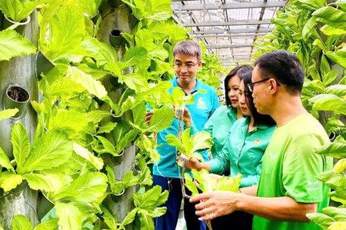 Tin tức đặc biệt trên ấn phẩm Hànộimới ngày 7-10-2026