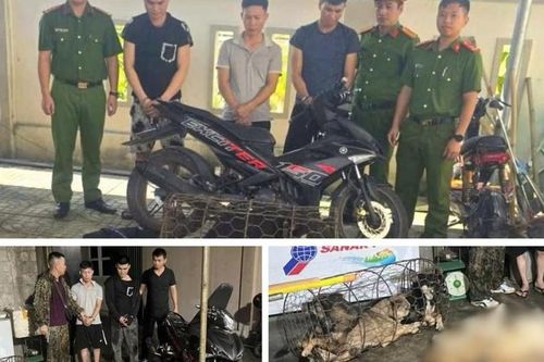 Khởi tố nhóm đối tượng trộm chó trong đêm