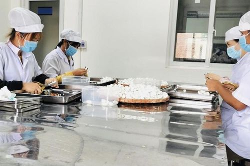 Công nghệ cao trong chế biến dược liệu: Giữ hoạt chất, nâng giá trị cây thuốc
