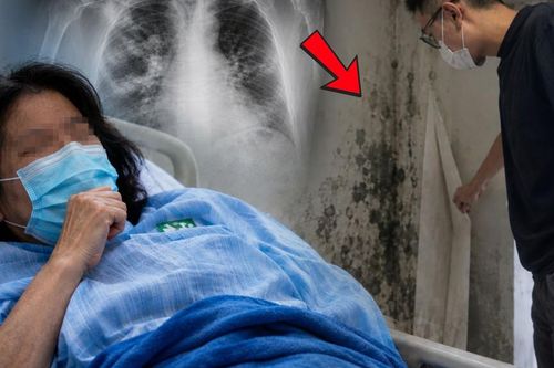 3 người cùng đổ bệnh khi ở nhà mới, 'thủ phạm' đáng sợ sau lớp dán tường