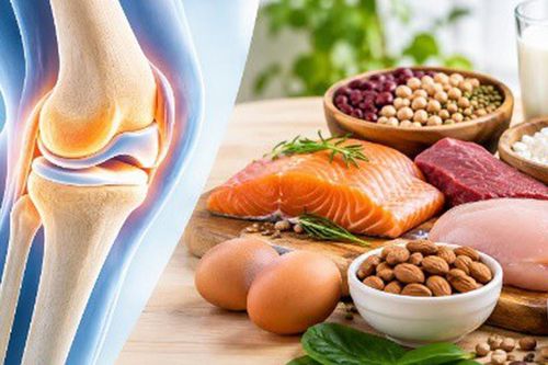 Tại sao chất đạm (protein) lại quan trọng với xương khớp?