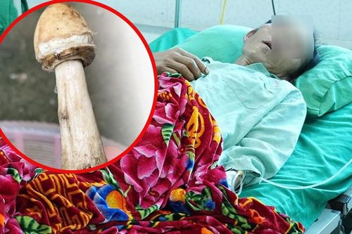 4 người trong một gia đình nhập viện sau bữa cơm có nấm lạ