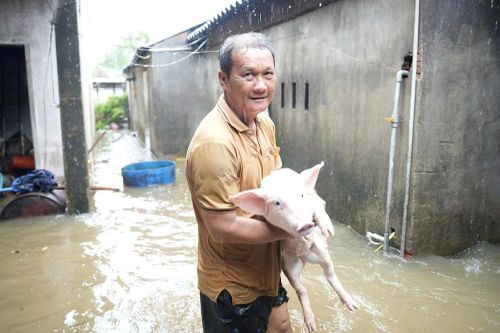 Mưa lớn gây ngập nhiều khu dân cư ở Quảng Ngãi