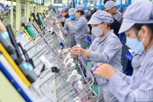 Tạo động lực tăng trưởng bền vững từ chuyển đổi kép
