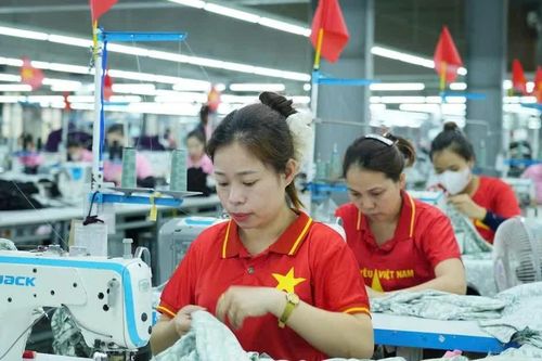 Nghệ An 'cán đích' dự toán thu ngân sách Nhà nước năm 2026