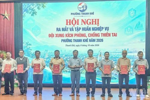 Đà Nẵng: Chủ động xây dựng lực lượng xung kích ứng phó thiên tai từ cơ sở