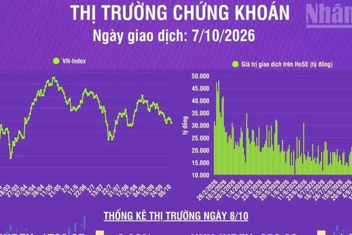[Infographic] Chứng khoán ngày 8/10: VN-Index giảm 14,42 điểm, áp lực bán gia tăng ở nhiều mã