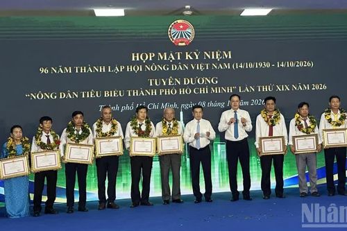 Thành phố Hồ Chí Minh tuyên dương 32 nông dân tiêu biểu, có thành tích xuất sắc