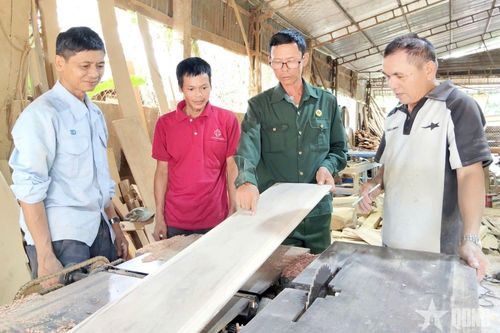 Cựu chiến binh sản xuất giỏi, tích cực giúp đồng đội